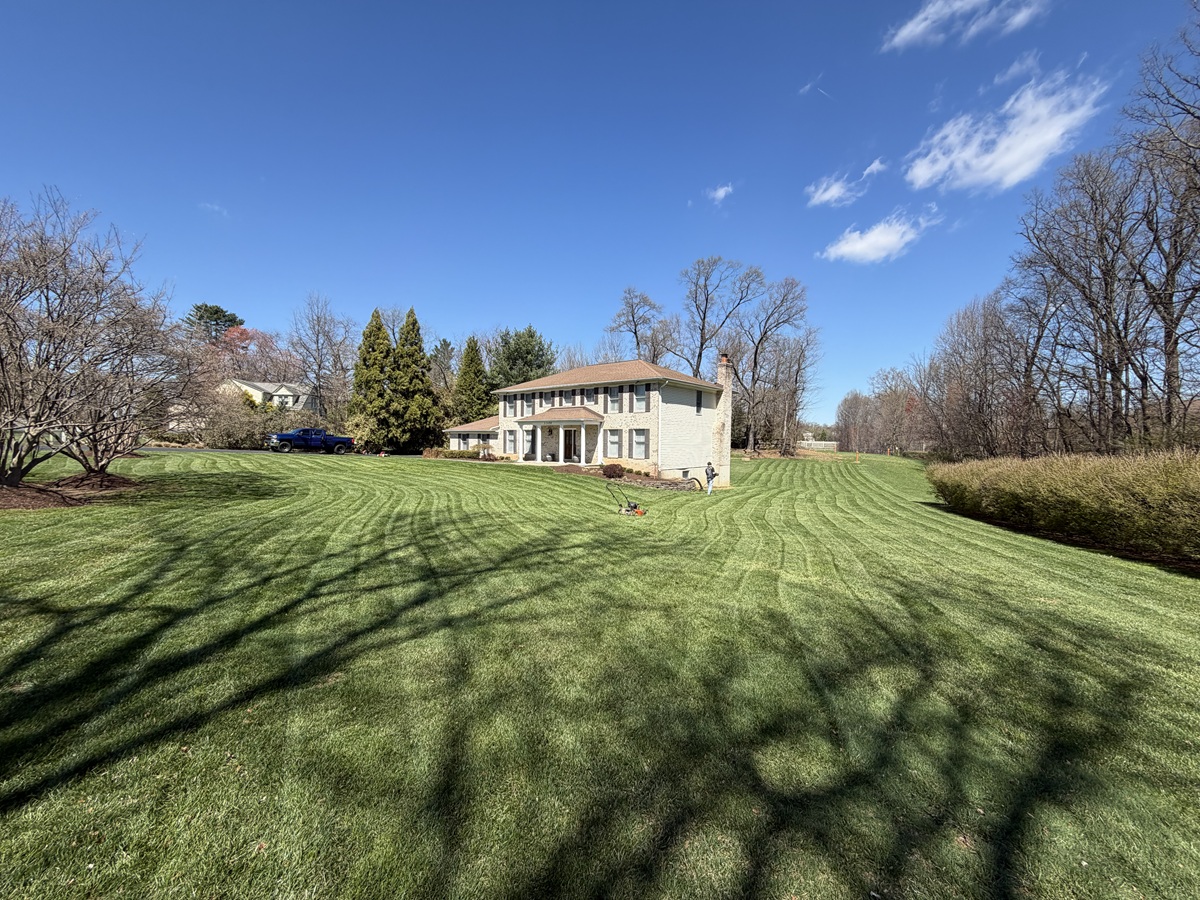 Freshly cut green lawn with sharp lines and clean curb appeal